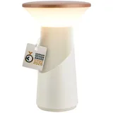 Briloner Pilia Hellgrau-Coffee