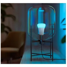 Philips Hue White & Color Ambiance E27 LED-Lampe