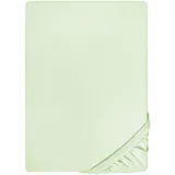 biberna 0077144 Feinjersey 140 x 200 - 160 x 200 cm mint