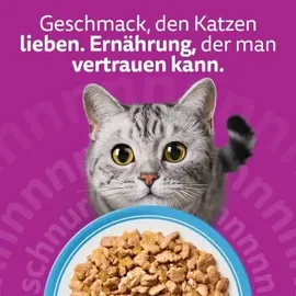 Whiskas Fisch Auswahl in Gelee 40 x 85 g
