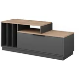Vicco Lowboard Betti 120 x 49.9 cm
