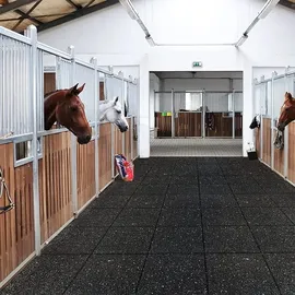 Floordirekt Stallmatte 10 mm Stärke Zuschnitt