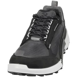 ECCO Biom 2.1 X Mountain Herren Schwarz 46