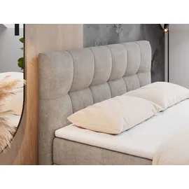 MKS Meble Boxspringbett 160 x 200 cm H3 Beige