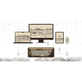 Akko MU01 Rosewood Switches QWERTY