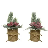 Decoris Weihnachtsgesteck 5cm x 15cm 1 Stück Sortiert im Jute Topf Tanne Stechpalme Weihnachtsdeko