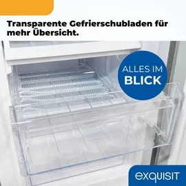 Exquisit KGC5233-60-HE-040D Kühl-Gefrierkombination (173 l, 1425 mm hoch, Inoxlook)