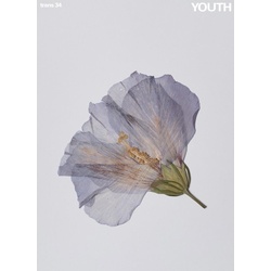 trans 34.Youth, Fachbücher von trans Redaktion