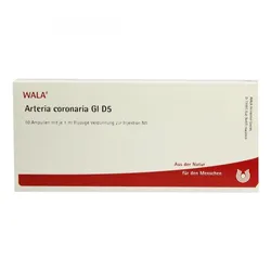 Arteria Coronaria Gl D5 Ampullen
