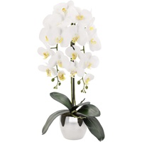 TreesHouse Premium Orchideen Künstlich XL (ca. 60cm) I Künstliche Orchideen wie Echt I Blumen Deko I Künstliche Orchideen im Topf I Hergestellt in der EU I 2 Stängel - 18 Blüten I Weiß (Moss)