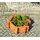 Promadino Kräuterbeet 76 x 72 x 27 cm braun