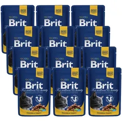 BRIT Cat Huhn und Truthahn  12x100g