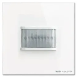 Busch-Jaeger Busch-Wächter 180grad TBW/U-CG 2CKA006300A1654