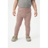 Wheat Agi Rosa 128