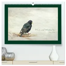 Calvendo Stare und Weisheiten (hochwertiger Premium Wandkalender 2026 DIN A2 quer), Kunstdruck in Hochglanz: Stare, Weisheiten und Sprichwörter (CALVENDO Tiere)