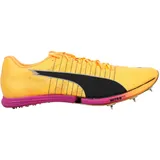 Puma evoSPEED Forte Nitro Elite Herren Orange/Pink 40