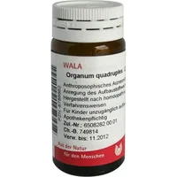 Wala Organum Quadruplex
