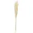 Asa Selection Trockenblumen ¦ creme