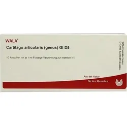 CARTILAGO articularis genus GL D 5 Ampullen 10 ml