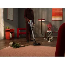 AEG 6000 Akku-Staubsauger AP61AB21EX