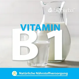 Bioherba Taurin Kapseln 100 St.