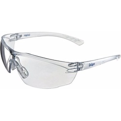 L+D, Schutzbrille + Gesichtsschutz, Schutzbrille X-pect 8320