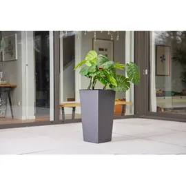 Siena Garden Nizza 40 x 40 x 75,3 cm graphit