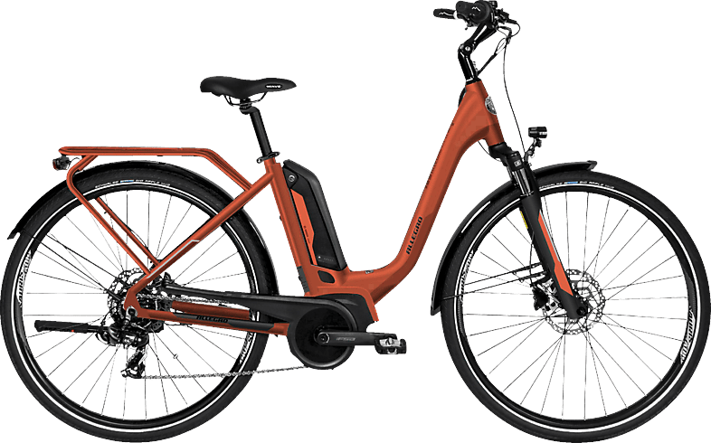 ALLEGRO City Plus ACL°02 Citybike (Laufradgröße: 28 Zoll, Rahmenhöhe: 48 cm, Unisex-Rad, 400 Wh, Salmon)