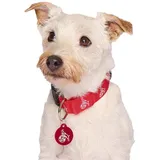 1. FC Köln LED HUNDEHALSBAND Gr. S
