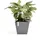 Ecopots Rotterdam 40 x 40 x 35 cm Grau