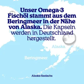 Arctic Blue Omega 3 Kapseln 60 St.