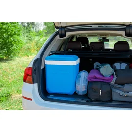 CAMPINGAZ Icetime Plus 26 l