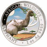 Generisch Silbermünze 1oz Zambia Elefant African Wildlife