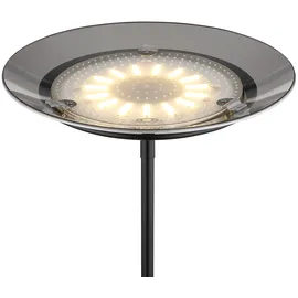 GLOBO LED Deckenfluter dimmbar Lesearm schwenkbar H 178,5cm