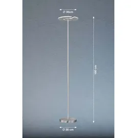 Fischer Leuchten Stehleuchte 180,0 cm Grau/Silber