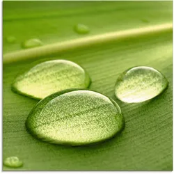Artland Glasbild »Wassertropfen«, Zen, (1 St.), in verschiedenen Größen Artland Farbe Bild(er): grün