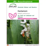 SAFLAX - Kardamom - Mit Topfsubstrat für bessere Kultivierung - Elettaria cardamomum