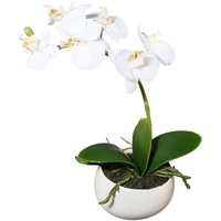 wohnfuehlidee Kunstpflanze Orchidee Phalenopsis, weiß, mit Deko-Keramik-Schale, Kunstblume Höhe 23 cm, Künstliche Orchidee im Topf