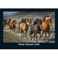 Vero Kalender Pferde Kalender 2026 Fotokalender DIN A5 von