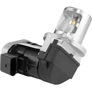 BorgWarner WAHLER 7527D/1 AGR-Ventil elektrisch, mit Dichtung
