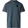 The North Face Evolution Box Half Dome Herren T-Shirt-Blau-L