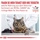 Royal Canin Hypoallergenic 4,5 kg