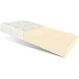 Matratze 160x200 cm ALCAMO Latexmatratze 7 Zonen H2 19 cm ALOE VERA