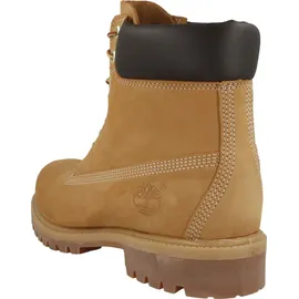 Timberland Mens 6 Inch Lace UP Waterproof Boot wheat 8 Wide Fit