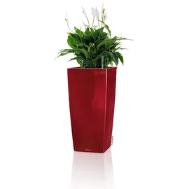 LECHUZA Cubico 30 Komplettset 30 x 30 x 56 cm scarlet rot hochglanz