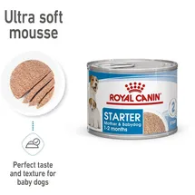Royal Canin Starter Mousse Mother & Babydog 12 x 195 g
