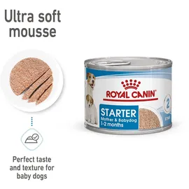 Royal Canin Starter Mousse Mother & Babydog 12 x 195 g