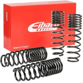 Eibach Fahrwerksatz, Federn