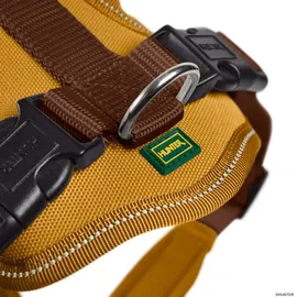 Hunter Geschirr Neopren