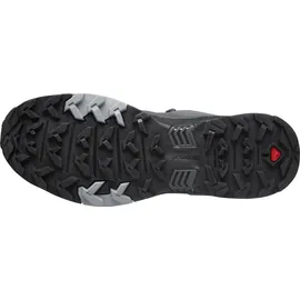 Salomon X Ultra 4 GTX Herren magnet/black/monument 48